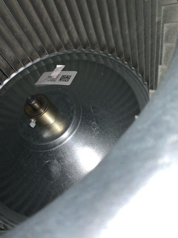 Responded to no heat call on 12-year-old Goodman ML296 furnace, model ML296UH090XV48C. Upon inspection, found blower wheel heavily contaminated with dust and debris buildup, restricting airflow and preventing proper system operation. Removed and cleaned blower assembly, restoring full airflow capacity. Verified system operation and confirmed heat output restored to normal parameters.