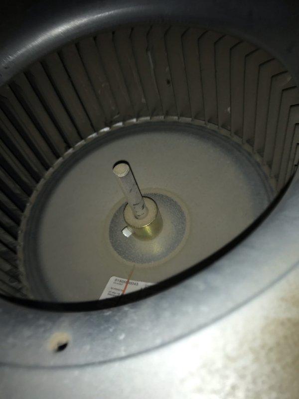 Responded to no cooling complaint on 9-year-old system. Upon arrival, confirmed unit was running but not producing cold air. Performed diagnostic inspection of electrical components and control board, verifying all connections were secure and properly terminated. Inspected blower assembly and wheel for proper operation and airflow obstruction. Found dust accumulation on blower components affecting system efficiency. Cleaned blower wheel and housing to restore proper airflow. Verified all electrical connections at control board and wiring harness were intact and functioning correctly.