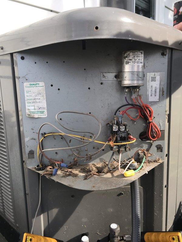 # HVAC Service Report

Responded to no cooling complaint on residential air conditioning unit. Upon inspection, found significant accumulation of organic debris including dried leaves, twigs, and plant matter inside the unit's interior compartment. Debris had collected on the bottom shelf and throughout the housing, restricting airflow and potentially interfering with electrical components. 

Removed access panel and cleared all organic debris from interior compartment. Inspected electrical components including capacitor, contactor, and associated wiring connections. All electrical connections appeared secure with no visible signs of damage from debris accumulation. Verified proper operation of capacitor and contactor. Cleaned interior surfaces and ensured all components were free from obstruction.

Reinstalled access panel and tested system operation. Unit restored to proper cooling function. Advised ongoing maintenance to prevent future debris accumulation.
