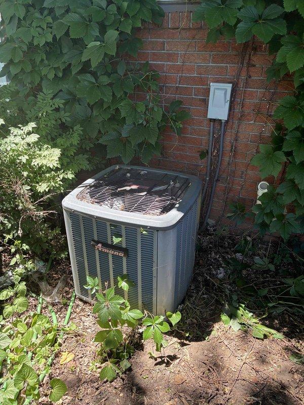Completed on-site evaluation of residential outdoor air conditioning condenser unit for replacement estimate. Inspected existing equipment positioned on bare ground against brick exterior wall, noting unit condition, electrical disconnect box, and conduit routing. Documented current installation including landscaping considerations with surrounding vegetation and accessibility for potential replacement. Photographed equipment specifications, electrical connections, and site conditions to provide accurate replacement proposal for single component AC system.