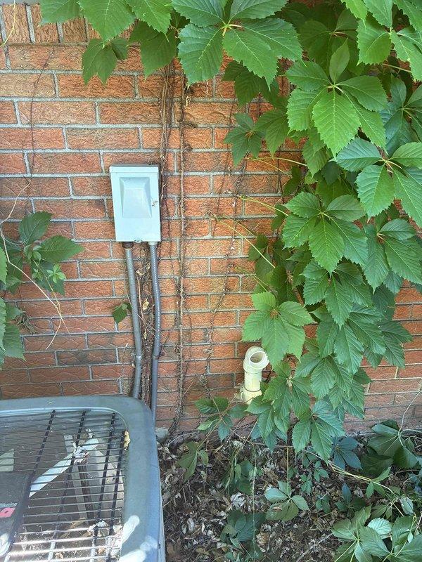 Completed on-site evaluation of residential outdoor air conditioning condenser unit for replacement estimate. Inspected existing equipment positioned on bare ground against brick exterior wall, noting unit condition, electrical disconnect box, and conduit routing. Documented current installation including landscaping considerations with surrounding vegetation and accessibility for potential replacement. Photographed equipment specifications, electrical connections, and site conditions to provide accurate replacement proposal for single component AC system.