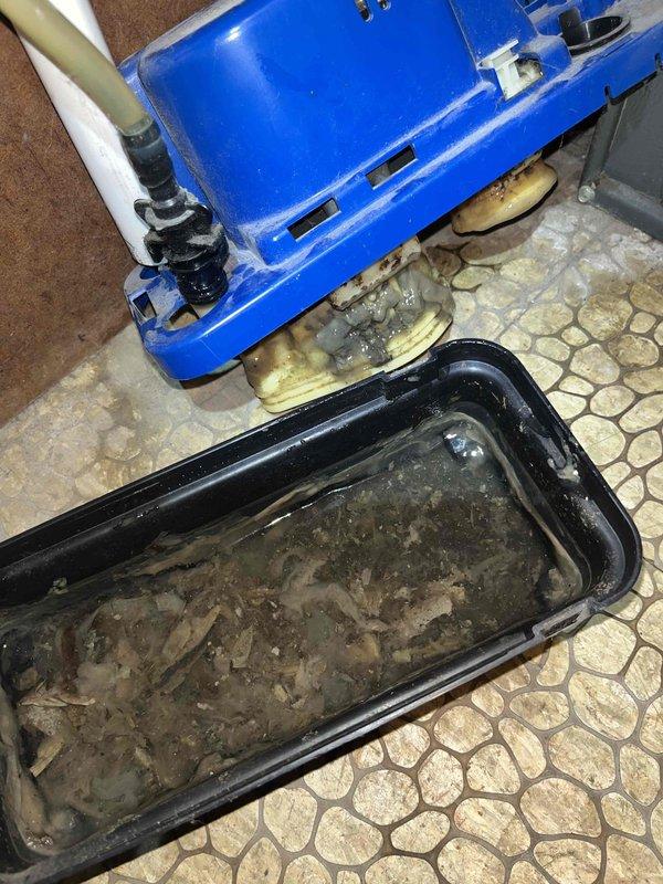 Responded to no cooling call on 10+ year old HVAC system. Found active water leak from evaporator coil with significant condensate accumulation in drain pan containing sediment and debris. Documented condition of condensate pump and collection system showing signs of age-related deterioration and staining on equipment housing and surrounding insulation materials.