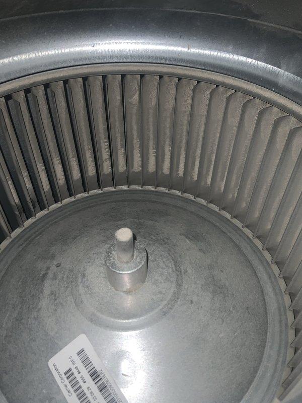 Completed routine summer maintenance and AC tune-up on a 4-year-old air conditioning system per membership agreement. Inspected blower wheel assembly and found dust accumulation on squirrel cage blower fins, which is typical for a system of this age; assessed overall blower functionality and condition as satisfactory. Performed standard maintenance procedures on furnace and AC system located in basement mechanical room, verified proper operation of all components, and documented equipment condition with photos showing blower assembly and main HVAC unit with connected ductwork.