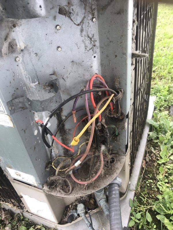 Responded to no-cooling emergency call on 20-year-old AC system that tripped breaker and produced smoke from outdoor unit the previous evening. Upon arrival, found outdoor condenser unit with significant debris accumulation, deteriorated wiring connections, and evidence of electrical failure in compartment. Inspected electrical components and wiring harness, which showed severe weathering, contamination, and heat damage consistent with reported smoking incident. Documented compromised condition of unit including rust, organic debris buildup around electrical connections, and overall lack of maintenance contributing to system failure. Due to age of equipment and extent of damage to electrical components, recommended system replacement rather than repair given safety concerns and cost-effectiveness for 20-year-old unit operating beyond typical lifespan.