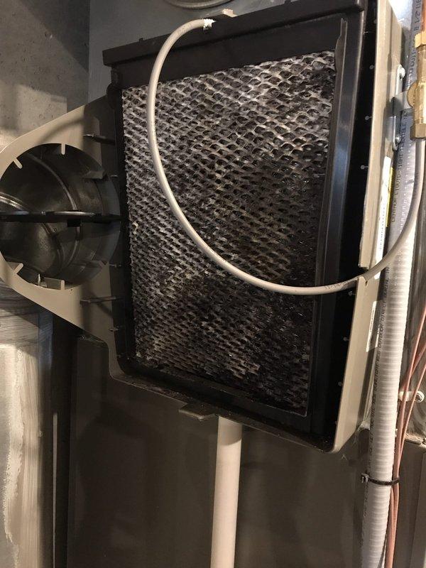Performed routine preventive maintenance on 6-year-old furnace system located in basement. Completed comprehensive tune-up including inspection of blower assembly, filter housing, and condensate drain system. Filter showed significant dust accumulation and was serviced; all components inspected and found to be operating within normal parameters with no issues requiring immediate attention.