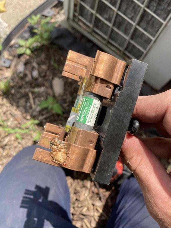 # No Cool Service Call - 12-Year-Old AC System

Responded to service call for reduced cooling capacity on 12-year-old air conditioning system. Customer reported unit was struggling to maintain temperature during peak heat conditions, though system remained operational.

Upon arrival, performed visual inspection of outdoor condensing unit located in backyard. Discovered heavily corroded fuse block with significant copper terminal oxidation and green patina formation indicating prolonged moisture exposure and age-related deterioration. Removed fuse block assembly for detailed examination, confirming advanced corrosion on both copper terminals and compromised electrical connections.

Conducted electrical diagnostics using digital multimeter to verify system performance parameters. Measured capacitor microfarad rating at 47.6 µF to assess component condition and determine if capacitor degradation was contributing to reduced cooling efficiency.

The combination of corroded electrical connec