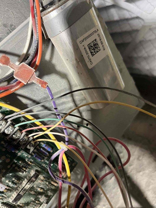 Responded to no cooling call on AC unit that had stopped running. Upon inspection, found control board and compressor wiring connections intact with proper color coding to CAP2XH4037L4 compressor assembly. Verified electrical connections at circuit board and traced conduit routing through wall penetration. System components showed professional installation with organized wire management and proper labeling. Documented internal cabinet configuration and external conduit pathway for service records.