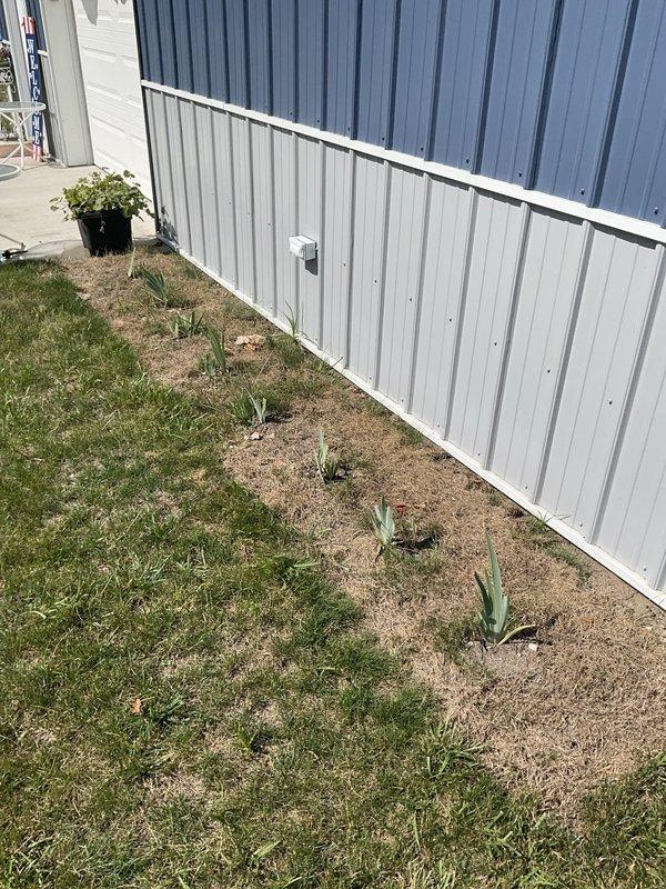 Conducted site assessment for new mini split installation in pole barn structure with metal siding. Evaluated exterior mounting locations, electrical access points, and optimal placement for indoor and outdoor unit components. Also provided estimate options for water heater replacement.