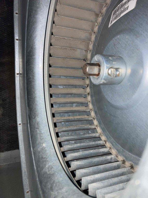 Performed comprehensive AC tune-up with deep cleaning on system 3910-2. Thoroughly cleaned heavily soiled blower motor, squirrel cage fan assembly, and surrounding ductwork components, removing significant dust and debris accumulation from all accessible surfaces. Inspected electrical connections, copper refrigerant lines, and motor mounting hardware to ensure proper operation and system efficiency.