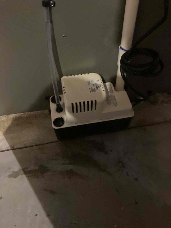 Completed membership tune-up on 1-year-old heating system with no reported issues or symptoms. Performed comprehensive inspection and maintenance procedures per agreement protocol. Documented condensate pump installation and sump pit drainage system with photographic records showing proper operation and mounting configuration.