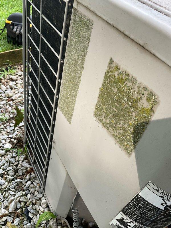 Completed prepaid preventative maintenance tune-up on residential outdoor AC unit. Performed comprehensive system inspection including electrical connections, refrigerant levels, and component operation. Noted exterior unit casing shows significant algae and mold growth on panels, documented condition with photographs, and cleaned accessible surfaces during service visit to maintain optimal airflow and system efficiency.
