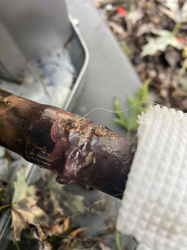 Responded to callback for water leakage and air discharge from beneath newly installed HVAC system. Upon inspection, discovered severely corroded copper refrigerant line with active leak at damaged section of piping. The copper tubing exhibited extensive oxidation, surface deterioration, and compromised integrity at multiple points along the run. Documented the corroded pipe sections and soldered joints showing signs of failure. The leak was causing refrigerant loss and allowing air infiltration into the system, explaining both the water accumulation and abnormal airflow reported by customer.