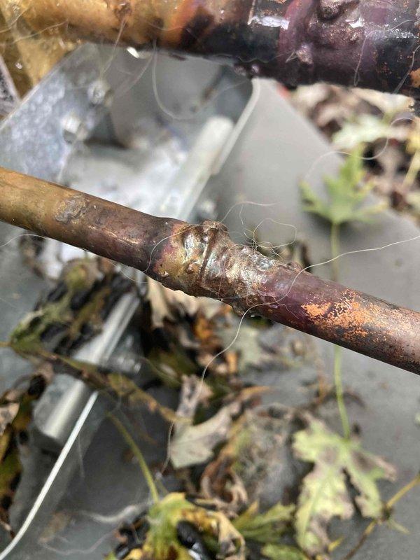 Responded to callback for water leakage and air discharge from beneath newly installed HVAC system. Upon inspection, discovered severely corroded copper refrigerant line with active leak at damaged section of piping. The copper tubing exhibited extensive oxidation, surface deterioration, and compromised integrity at multiple points along the run. Documented the corroded pipe sections and soldered joints showing signs of failure. The leak was causing refrigerant loss and allowing air infiltration into the system, explaining both the water accumulation and abnormal airflow reported by customer.