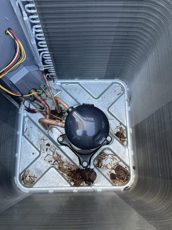 Completed scheduled prepaid AC tune-up maintenance on residential air conditioning system. Upon arrival, found outdoor condensing unit with heavily soiled filter/mesh screen covered in thick accumulation of dirt, dust, and debris. Condenser coils showed relatively clean condition but filter obstruction was significantly restricting airflow. Performed comprehensive inspection of compressor, refrigerant lines, and condenser coil assembly. Noted debris accumulation in drip pan including dried leaves and organic matter. Cleaned filter screen and removed debris from unit base and drip pan. Inspected electrical connections and copper refrigerant lines, which showed normal operational wear and minor oxidation. Verified proper compressor operation and system functionality. Unit returned to optimal operating condition with improved airflow and efficiency.