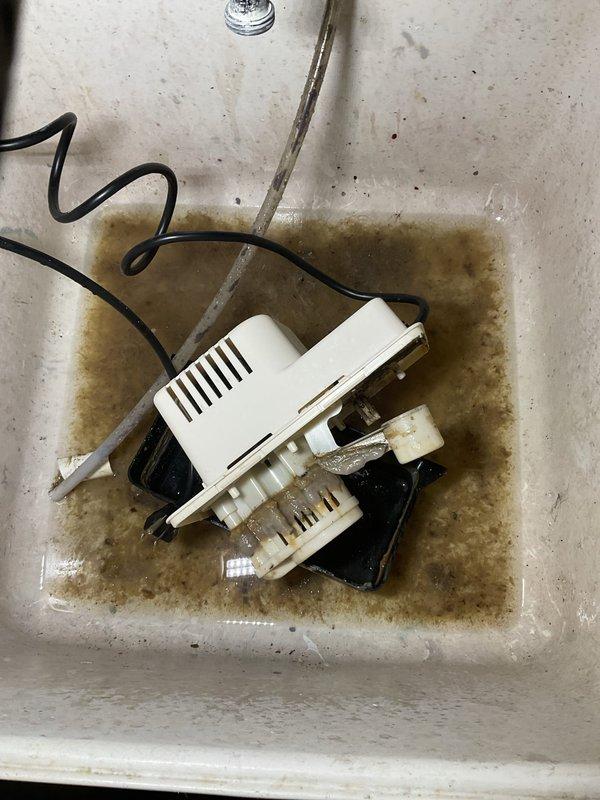 Responded to emergency no-cooling call on four-year-old air conditioning system. Upon inspection, identified failed condensate pump preventing system operation due to safety float switch activation. Removed and cleaned pump assembly, which showed signs of sediment buildup and motor wear. Reinstalled pump in proper location within mechanical space above insulated ceiling area. Verified proper drainage operation, tested safety float mechanism, and confirmed system returned to normal cooling operation. Unit now operating within manufacturer specifications.