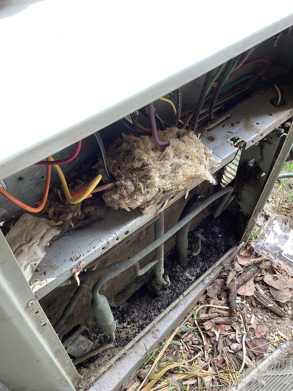# HVAC Service Completed

Responded to no-cool complaint with reported water leakage from furnace area on 2002 Trane XE 100 condensing unit (Model TTR036D100AD, 208/230V, 60A). Upon inspection, discovered outdoor condensing unit heavily compromised by wildlife intrusion and environmental neglect. Found active bird's nest constructed throughout interior cabinet, with nesting materials intertwined around electrical wiring and refrigerant lines, creating safety hazards and obstructing airflow. 

Unit interior showed extensive debris accumulation, including organic material, dirt, and burnt residue coating bottom surfaces and components. Exterior cabinet exhibited weathering, discoloration, and dirt buildup consistent with extended outdoor exposure without maintenance. Given the unit's age (over 20 years old), compromised condition from wildlife damage, safety concerns with nest material around electrical components, and extensive contamination, advised system replacement rather than repai