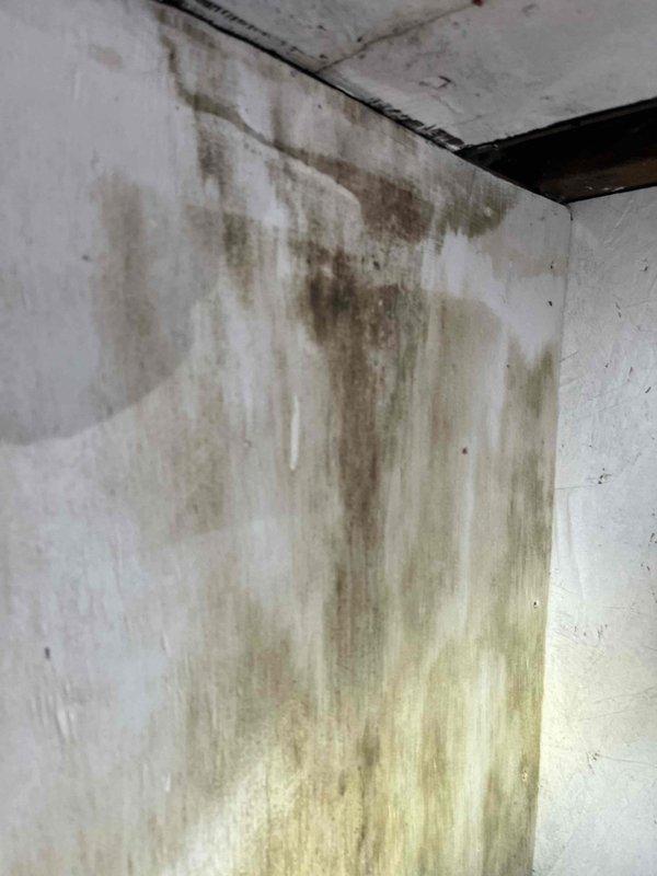 Responded to no heat call with reported odor from furnace upon operation. Upon inspection, discovered significant moisture intrusion and water damage in mechanical room affecting HVAC system. Found extensive condensation buildup inside furnace cabinet, indicating potential heat exchanger issues, improper venting, or combustion problems. Water staining on surrounding walls confirmed ongoing moisture problems in installation area. Recommended immediate system shutdown due to safety concerns related to moisture infiltration in heating components and potential carbon monoxide risk from compromised heat exchanger. Advised customer that unit requires comprehensive evaluation by qualified technician to determine source of moisture, assess heat exchanger integrity, and verify proper venting before system can be safely operated.