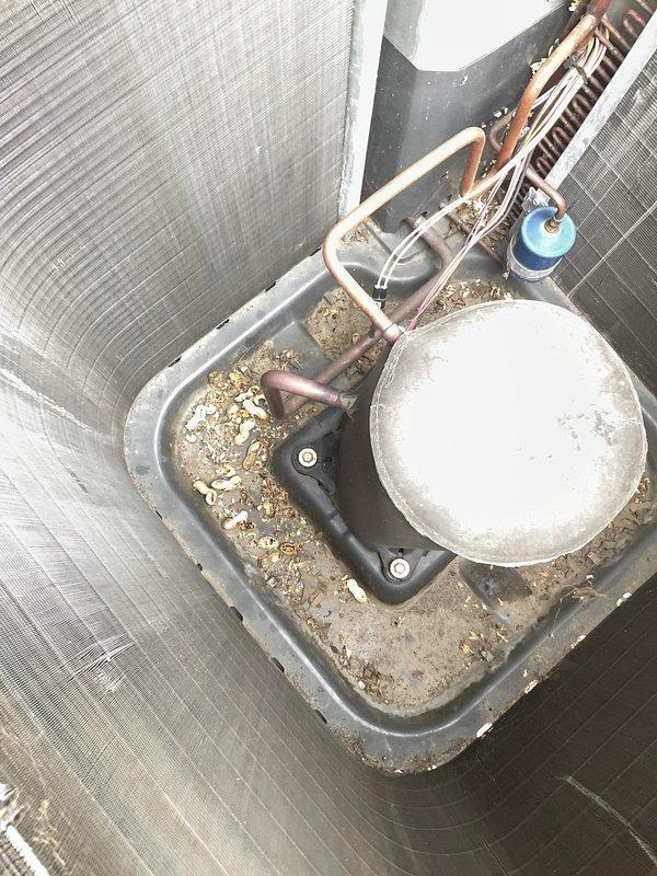Responded to no-cooling call for residential air conditioning system. Upon arrival, found outdoor condenser unit in severely neglected condition with heavy accumulation of dirt, debris, and deteriorated insulation material covering exterior surfaces and top of unit. Condenser coil fins showed significant buildup affecting airflow and heat transfer efficiency. Drain pan contained substantial debris including dirt, gravel, and sediment that could impede proper drainage and potentially cause water damage. Performed comprehensive cleaning of condenser unit exterior, removed deteriorated insulation material, and cleared drain pan of all accumulated debris. Verified unit operation and restored cooling function to system.