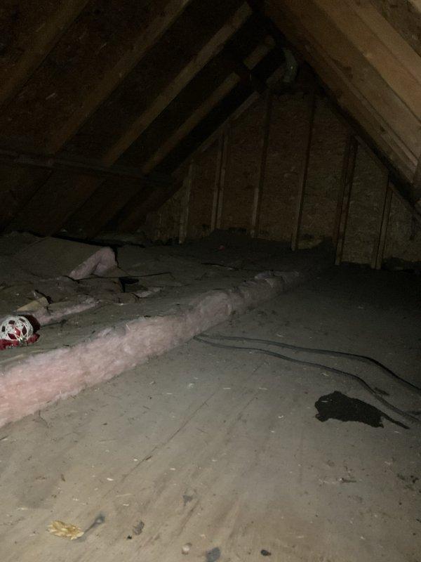 Completed HVAC estimate for boiler and mini-split system replacement in residential attic space. Assessed existing attic conditions including insulation layout, structural framework, and available installation pathways for new equipment and ductwork routing to prepare comprehensive replacement proposal.