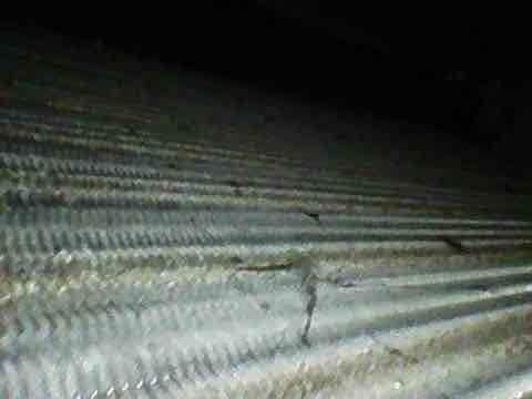 Responded to no heat call on 9-year-old furnace with reported clicking but no air flow. Upon inspection, found evaporator coil and heat exchanger fins heavily contaminated with dust and debris accumulation, restricting airflow and preventing proper system operation. Documented coil condition with photos showing significant buildup between fins and on metal surfaces. Cleaned and serviced affected components, restored proper airflow, and verified system operation. Unit tested successfully with normal heating cycle and blower function restored.