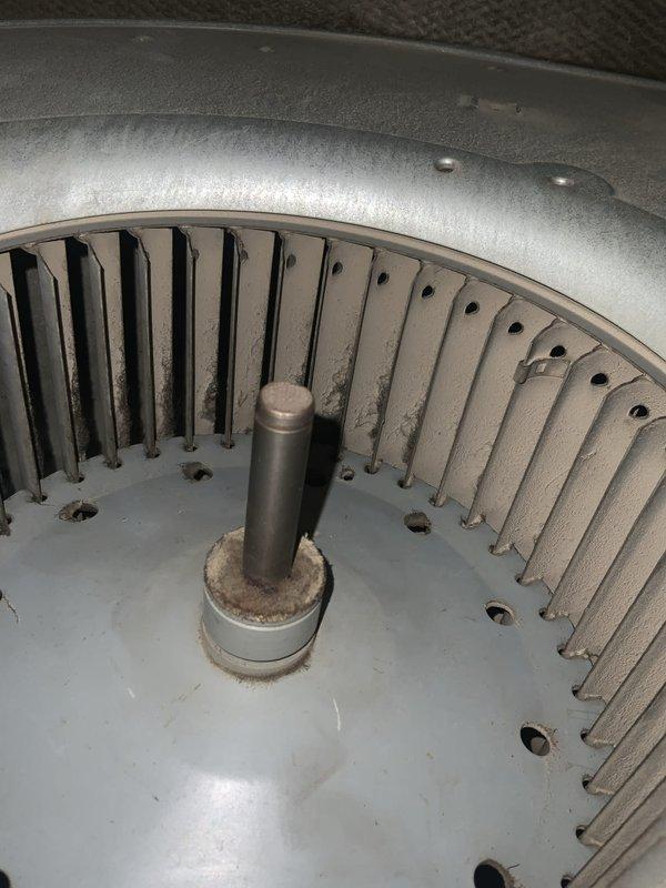 Responded to no heat call on furnace over 10 years old. Upon arrival, confirmed symptom of unit igniting normally but blower motor shutting off after approximately one minute while burners remained lit, creating an unsafe operating condition. Diagnosed failed blower motor and/or control board issue causing premature blower shutdown. Inspected blower assembly and found accumulated debris in wheel and housing contributing to motor strain. Examined control board and transformer for proper operation and wiring integrity. Provided repair estimate and discussed replacement options given age of equipment.