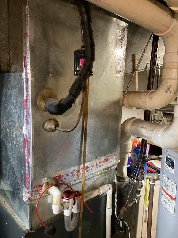 Completed routine HVAC maintenance agreement visit for air handler and system inspection. Performed comprehensive inspection of gas furnace operation, confirmed all four burners igniting properly with proper blue flame characteristics, verified heat exchanger integrity, and inspected electrical connections and wiring throughout the system. Examined air handler unit, ductwork mounting and sealing, drainage system components including condensate lines and trap configuration, and all associated plumbing connections in mechanical room. All systems found operating within normal parameters with no immediate service needs identified.