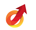Digital Marketing Institute