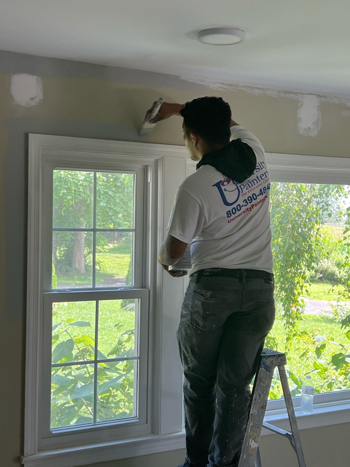 Where We Work University Painters