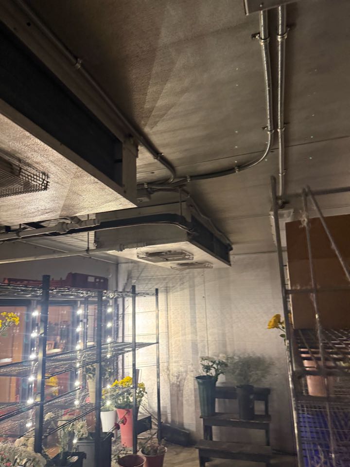 Walk-In Cooler Repair