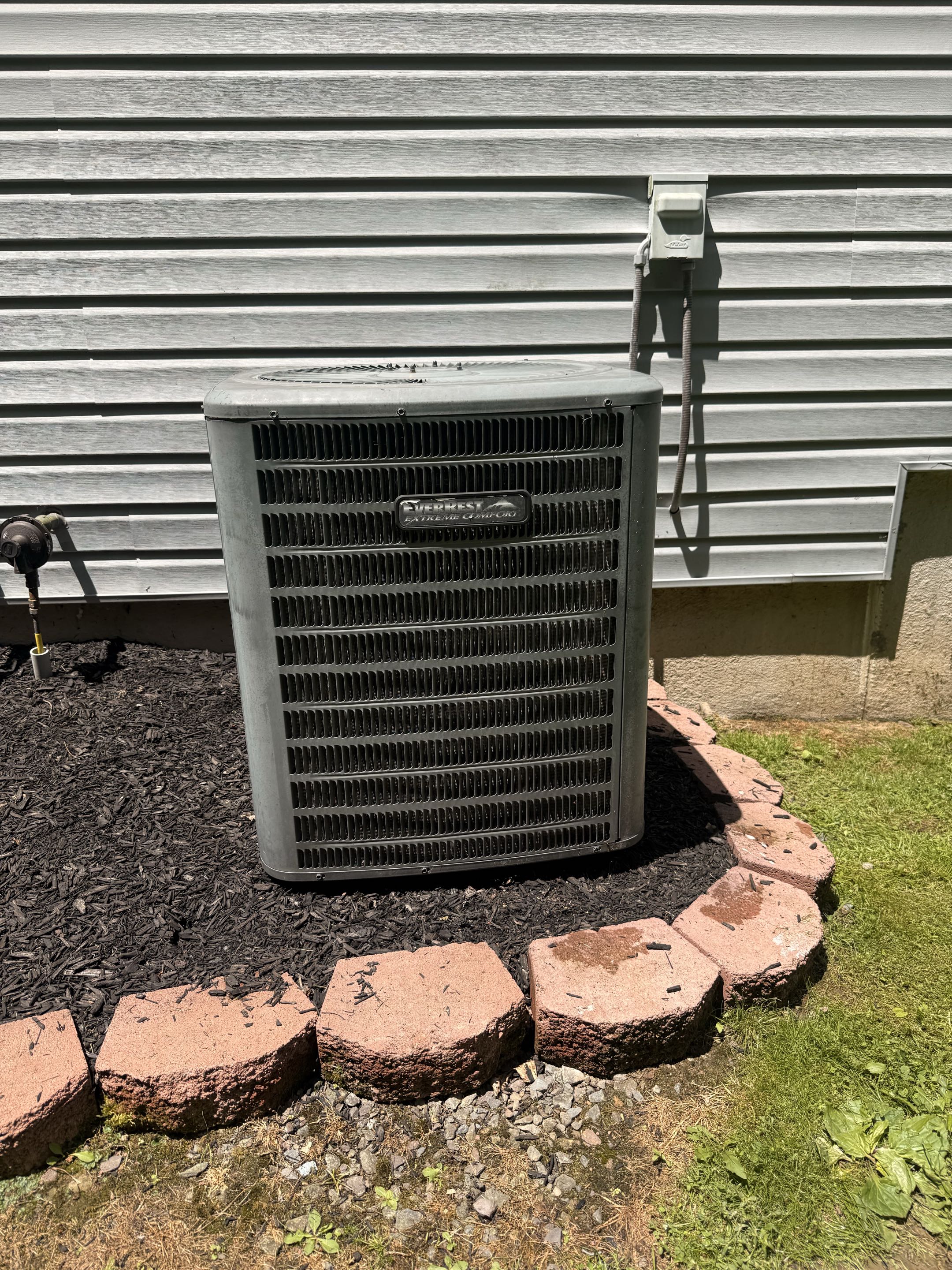 Routine maintenance on Rinnai Tankless water heater & Goodman AC system 