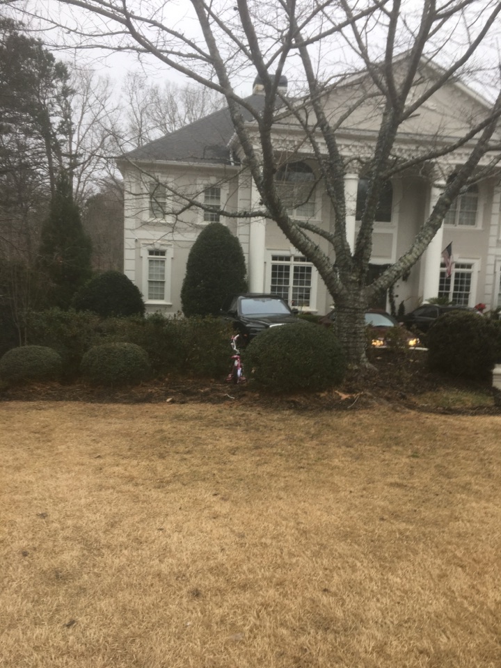 For Pest Control Alpharetta GA Calls SWAT Services