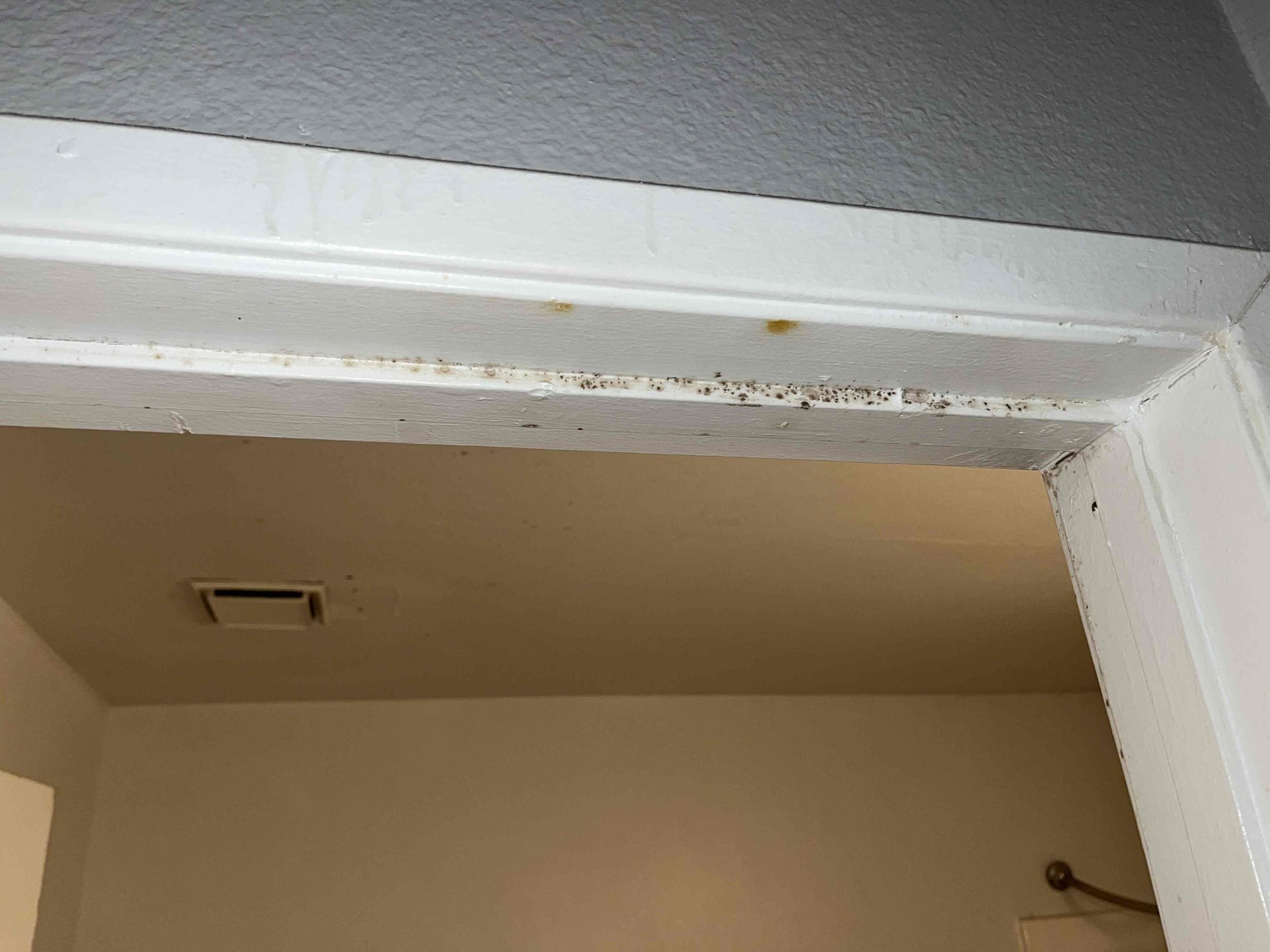 Customer had mold growth occurring throughout walls of bathroom that she wishes to have remediated. 