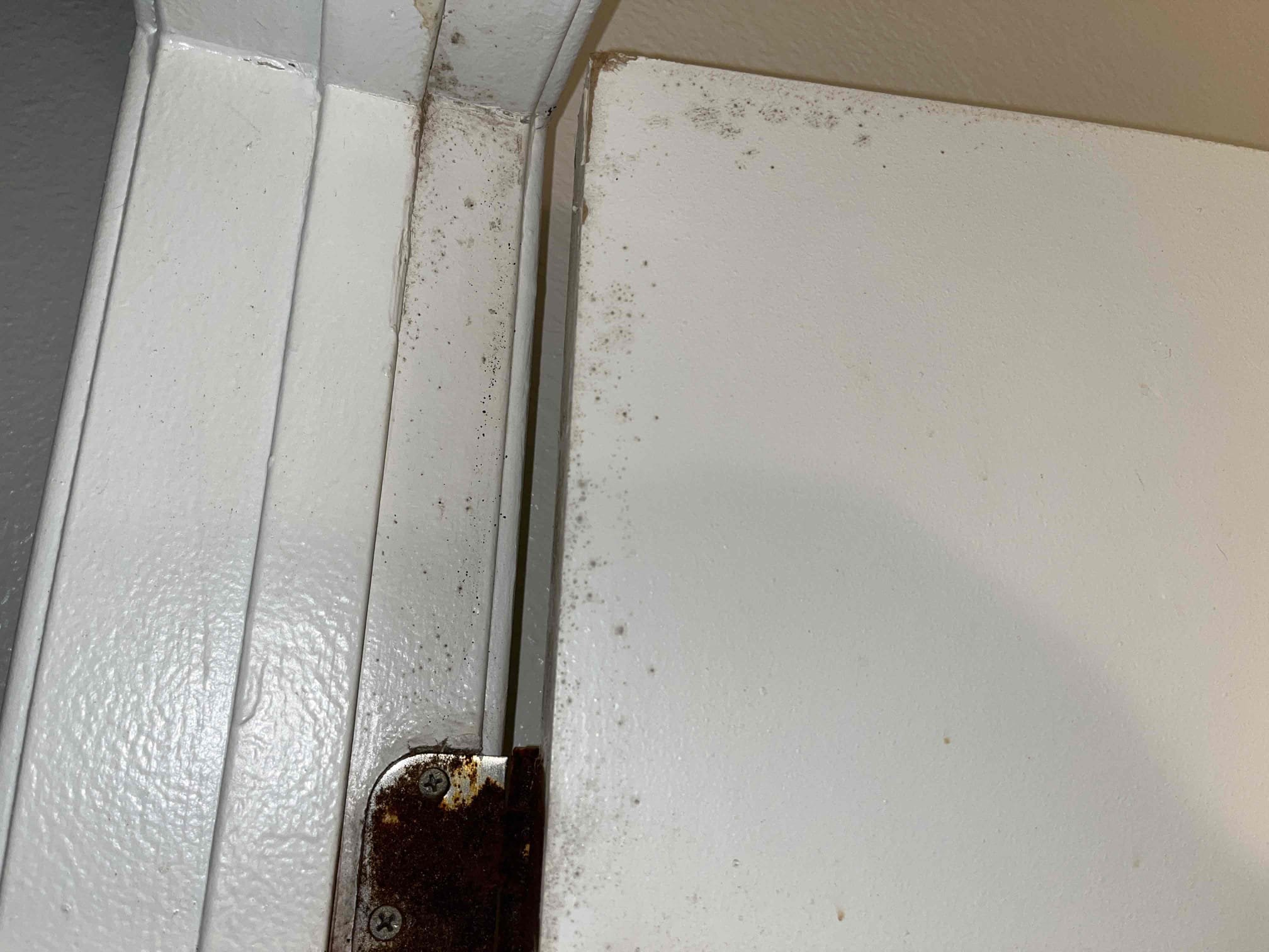 Customer had mold growth occurring throughout walls of bathroom that she wishes to have remediated. 