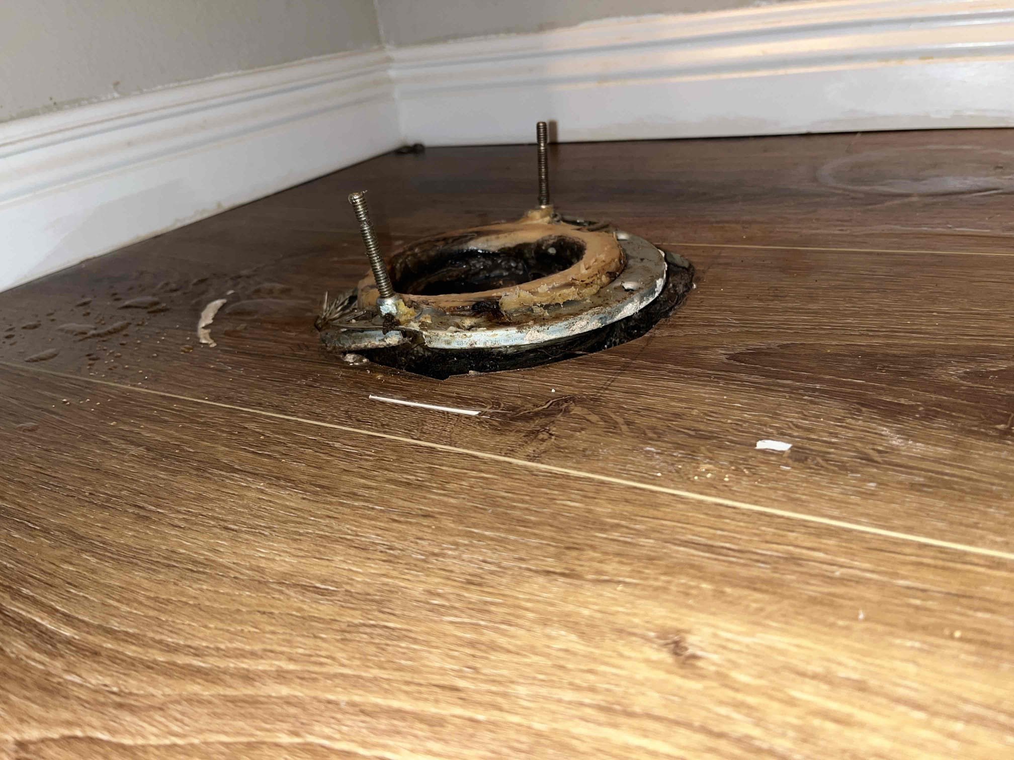 Pulled hallway toilet to inspect toilet flange and found that flange was broken with roots growing up between the drain and concrete. Recommended filling large gap between drain and concrete with concrete and sealant to avoid root continuing to cause issues. Customer denied work and just wanted new flange installed. Customer will continue to have issues with toilet until issue is addressed  Pulled hallway toilet to inspect toilet flange and found that flange was broken with roots growing up between the drain and concrete. Recommended filling large gap between drain and concrete with concrete and sealant to avoid root continuing to cause issues. Customer denied work and just wanted new flange installed. Customer will continue to have issues with toilet until issue is addressed