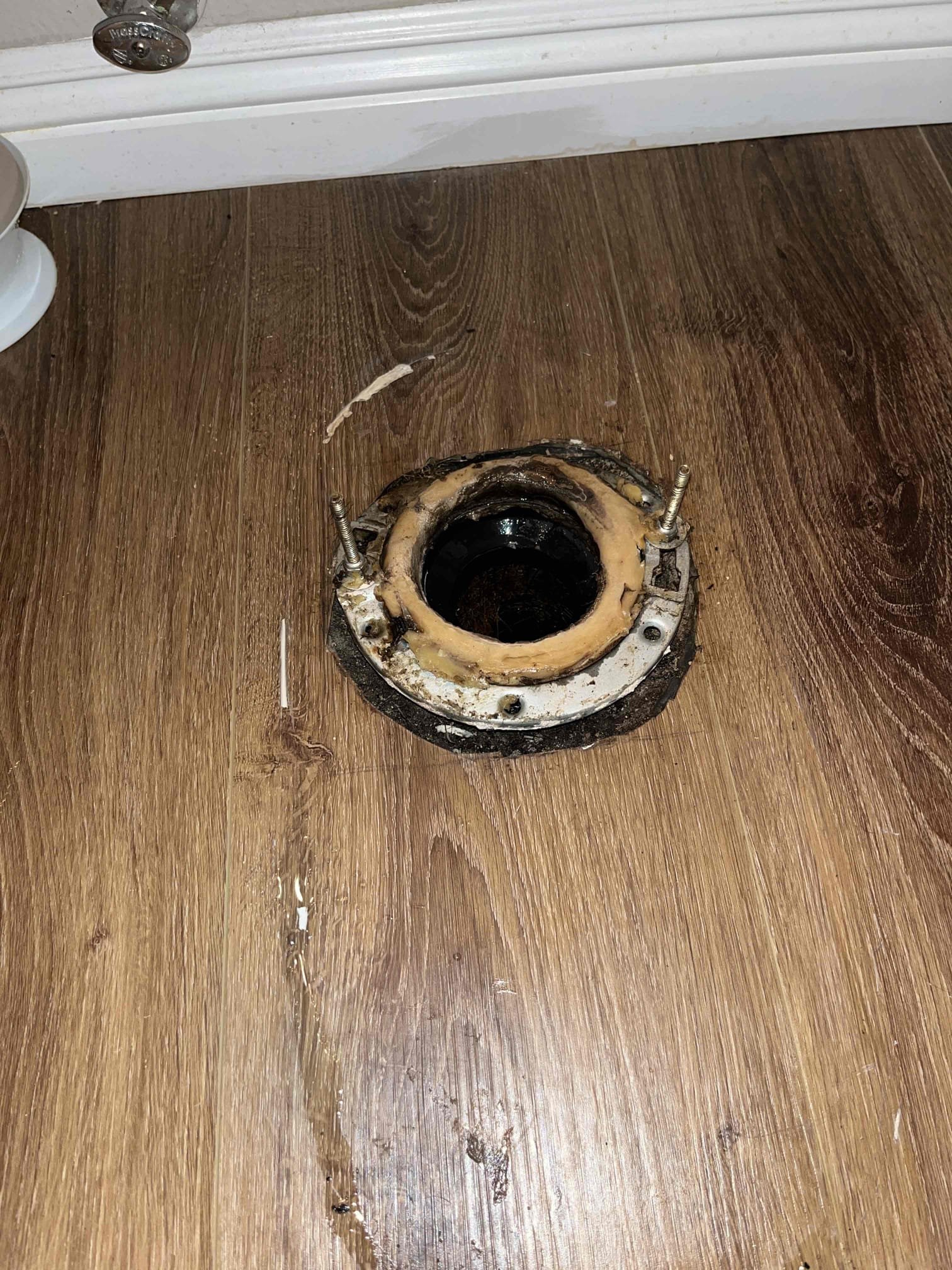 Pulled hallway toilet to inspect toilet flange and found that flange was broken with roots growing up between the drain and concrete. Recommended filling large gap between drain and concrete with concrete and sealant to avoid root continuing to cause issues. Customer denied work and just wanted new flange installed. Customer will continue to have issues with toilet until issue is addressed  Pulled hallway toilet to inspect toilet flange and found that flange was broken with roots growing up between the drain and concrete. Recommended filling large gap between drain and concrete with concrete and sealant to avoid root continuing to cause issues. Customer denied work and just wanted new flange installed. Customer will continue to have issues with toilet until issue is addressed