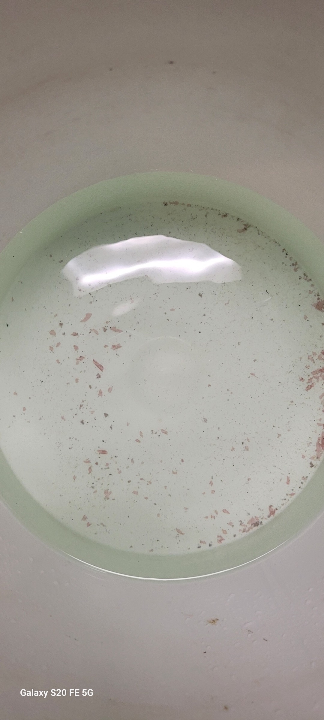 Customer called Saturday morning 10-11-25 to report a burst water line above head located in kitchen. Josue arrived around 3 and performed leak detection finding the leak was located on the main 2” feed for building. Due to not having authorization to shut down water to the building we attempted to place a temporary clamp on water line to try and stop/slow down the leak. Also performed descaling to both tankless water heaters while we were there.  Customer called Saturday morning 10-11-25 to report a burst water line above head located in kitchen. Josue arrived around 3 and performed leak detection finding the leak was located on the main 2” feed for building. Due to not having authorization to shut down water to the building we attempted to place a temporary clamp on water line to try and stop/slow down the leak. Also performed descaling to both tankless water heaters while we were there.