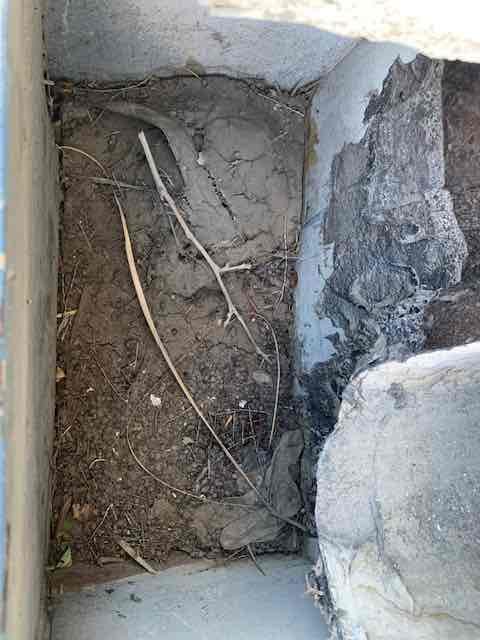 Customer had a lot of dirt and debris built up in catch basin for drains. I cleaned out all the dirt. I was not able to find where the water was leaking into the ceiling at. Recommended having out roofing specialist come out and have a look at the roof to see where the water was entering from. 