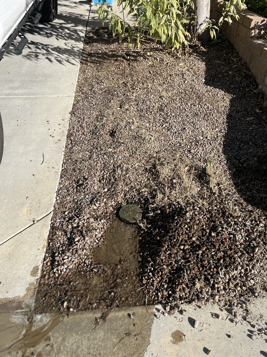Customer has several drains that were buried under underlayment and rocks. Had to locate the two termination points in front yard and excavate to expose them, as well as one of the drains in the backyard. Appears when rock was installed they buried the drains. After exposing and removal gravel from drains ran water and everything was draining properly 