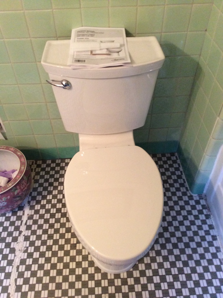 Just got done installing this toilet have a great day