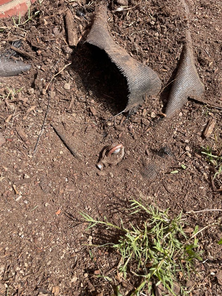 Updated Grounding and Bonding System! This customer’s grounding system did not meet 2025 NEC Code requirements. Royal Electric got them up to date and able to pass inspection ✅⚡️ Updated Grounding and Bonding System! This customer’s grounding system did not meet 2025 NEC Code requirements. Royal Electric got them up to date and able to pass inspection ✅⚡️