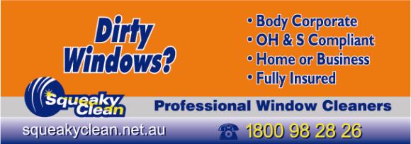 Squeaky Clean Professional Window Cleaners