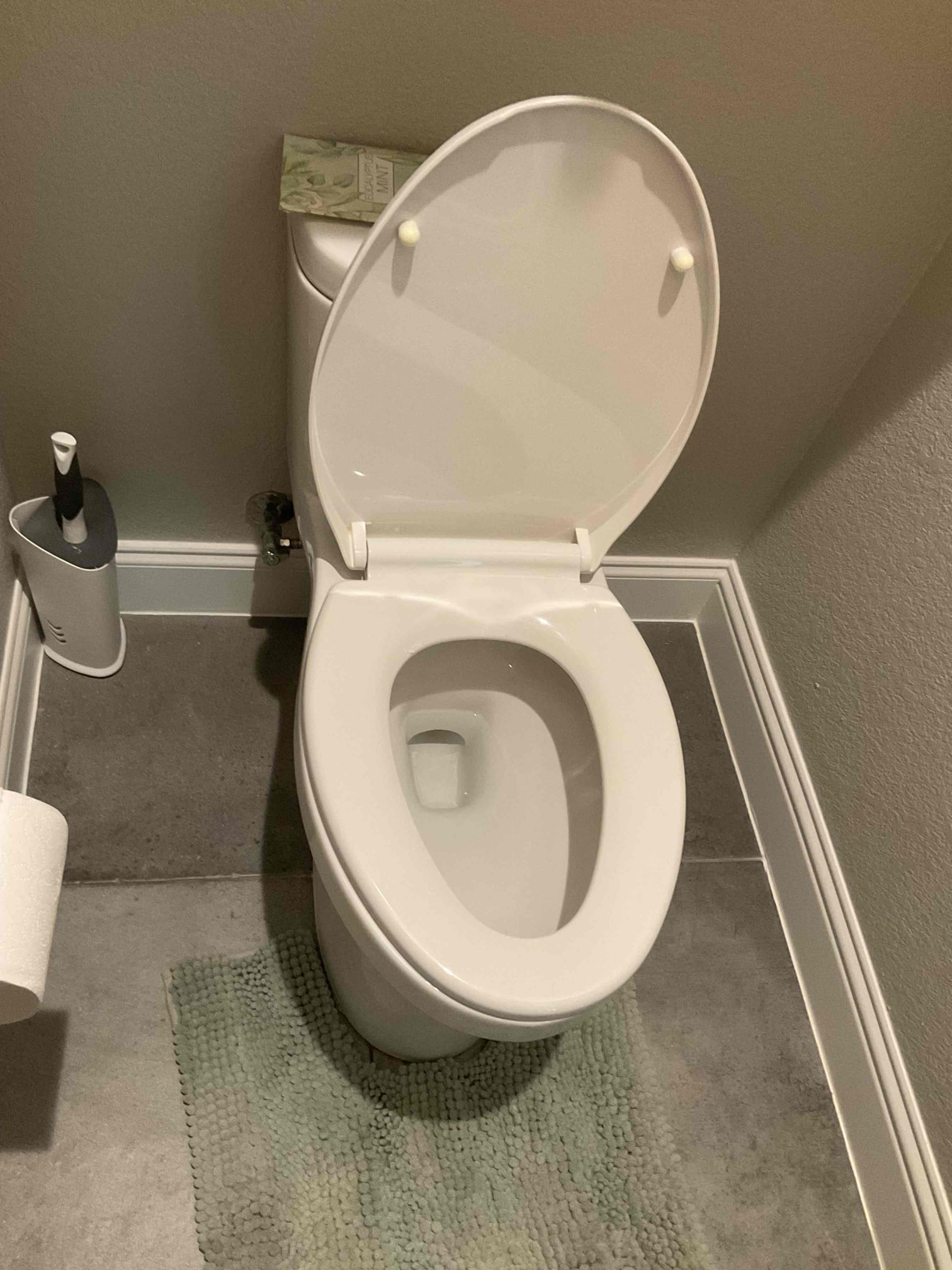 Customer called us out for 2 bidet toilet seat installs, gave estimates for seats only as stops are in working order.

Customer does have one other quote on the way.

Quotes are good for 30 days.