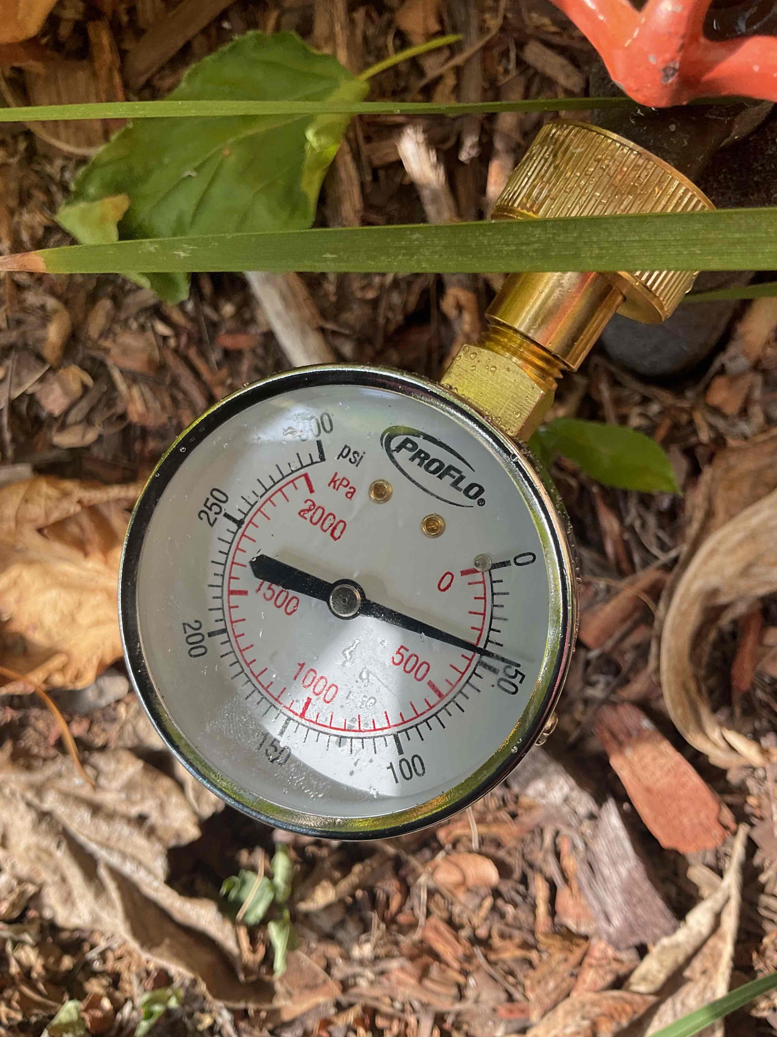 Gave customer estimate to repair or replace water line in front yard. Planning to follow up tomorrow afternoon.  Gave customer estimate to repair or replace water line in front yard. Planning to follow up tomorrow afternoon.