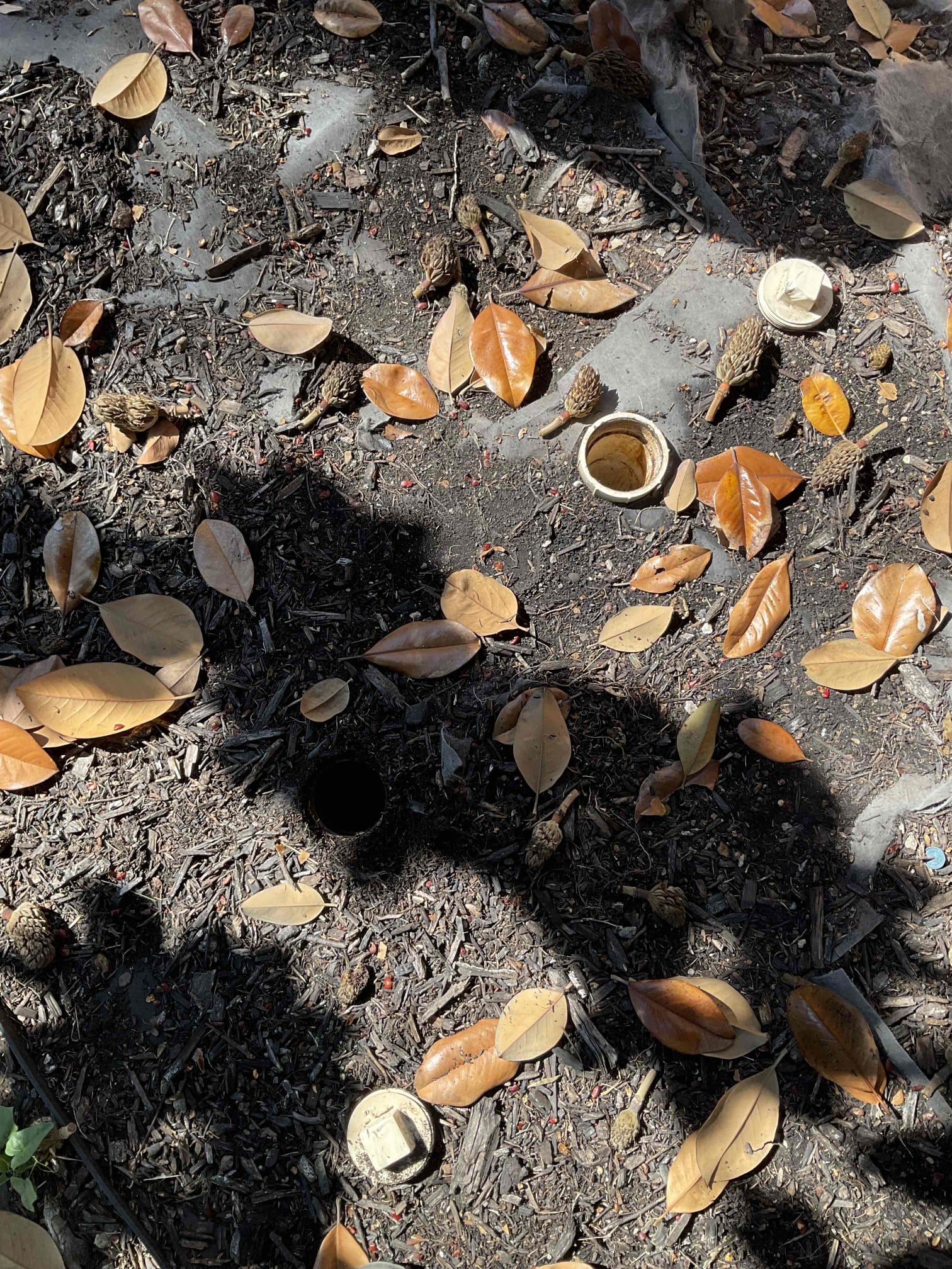 - attempt to restore flow to home due to current whole home stoppage 

** if issues are observed pricing will be given for diagnostic **

Successfully restored flow to drain , supervisor is also going to come out after five to run a camera for free to check for any issues under home.

No warranty on drain clears