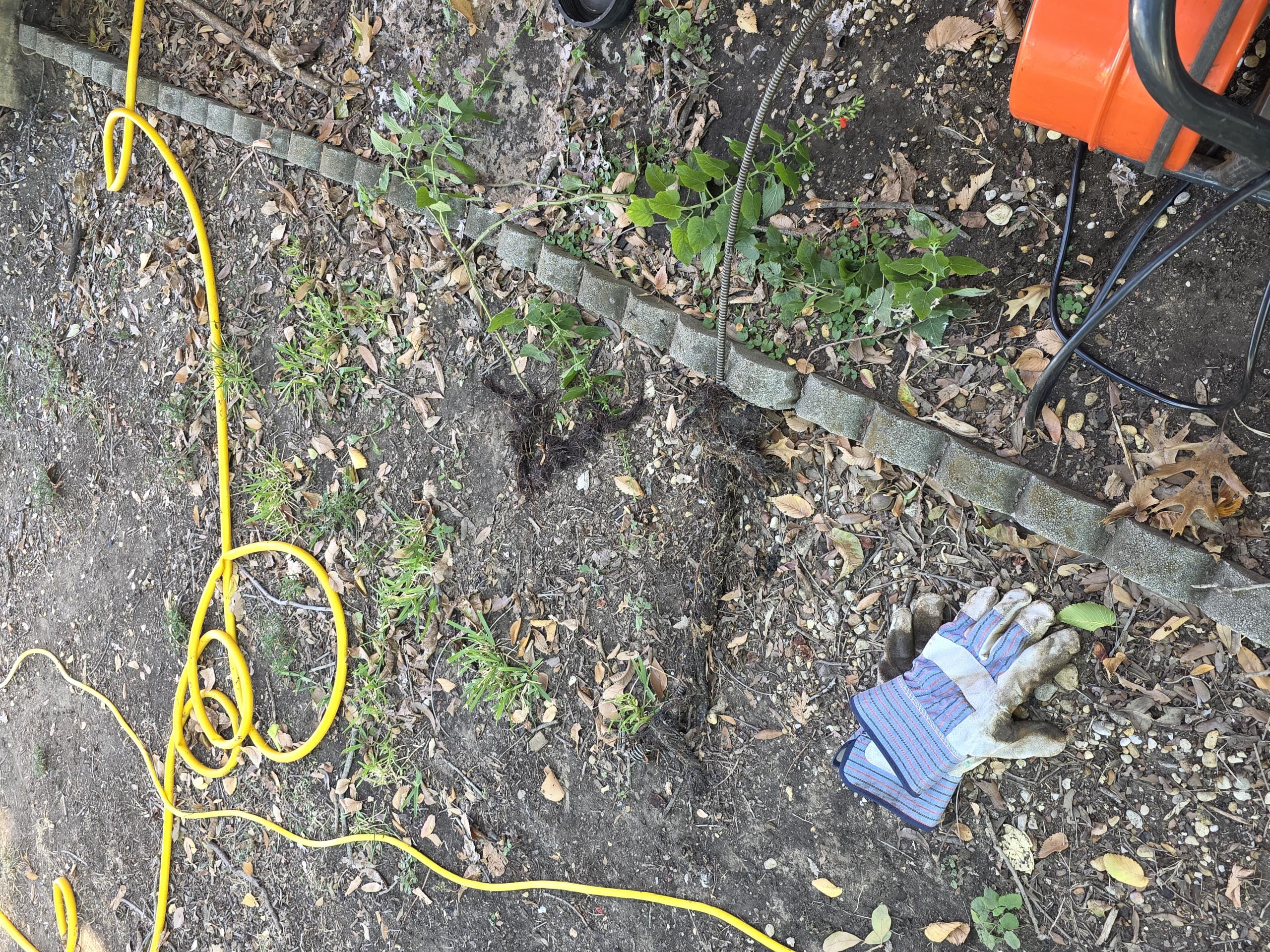Restored flow to drain from cleanout in front yard. Pulled back significant amount of roots. Customer declined camera service at this time. No warranty for drain clear. 