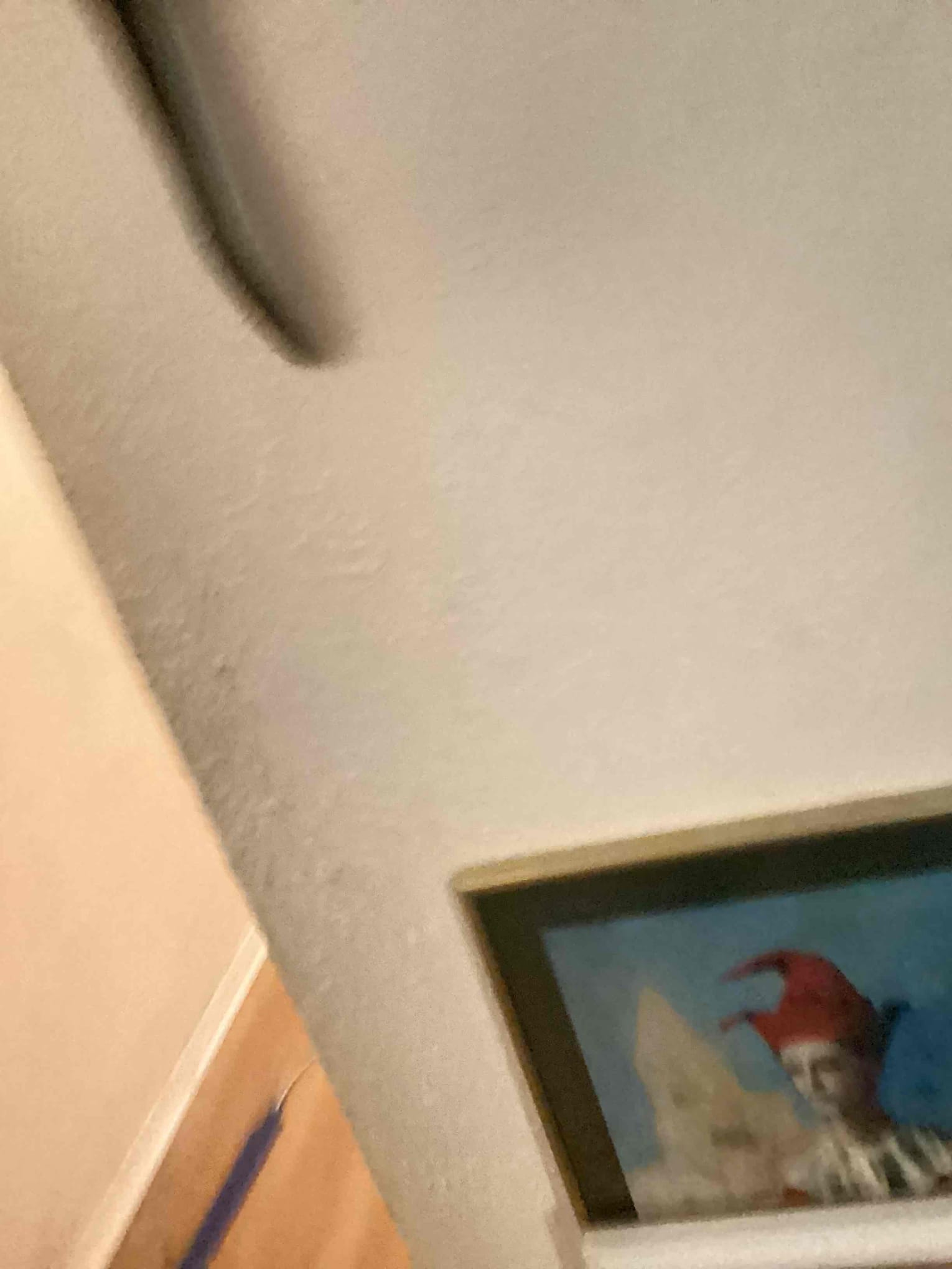 Ran power to water filtration system under sink added Gfci outlet behind wall in order for I to be accessible. Replaced a dimmer in dining room also replaced switch for living room ceiling fan. Walked customer thru work made sure he was 100% happy and satisfied with today’s service.