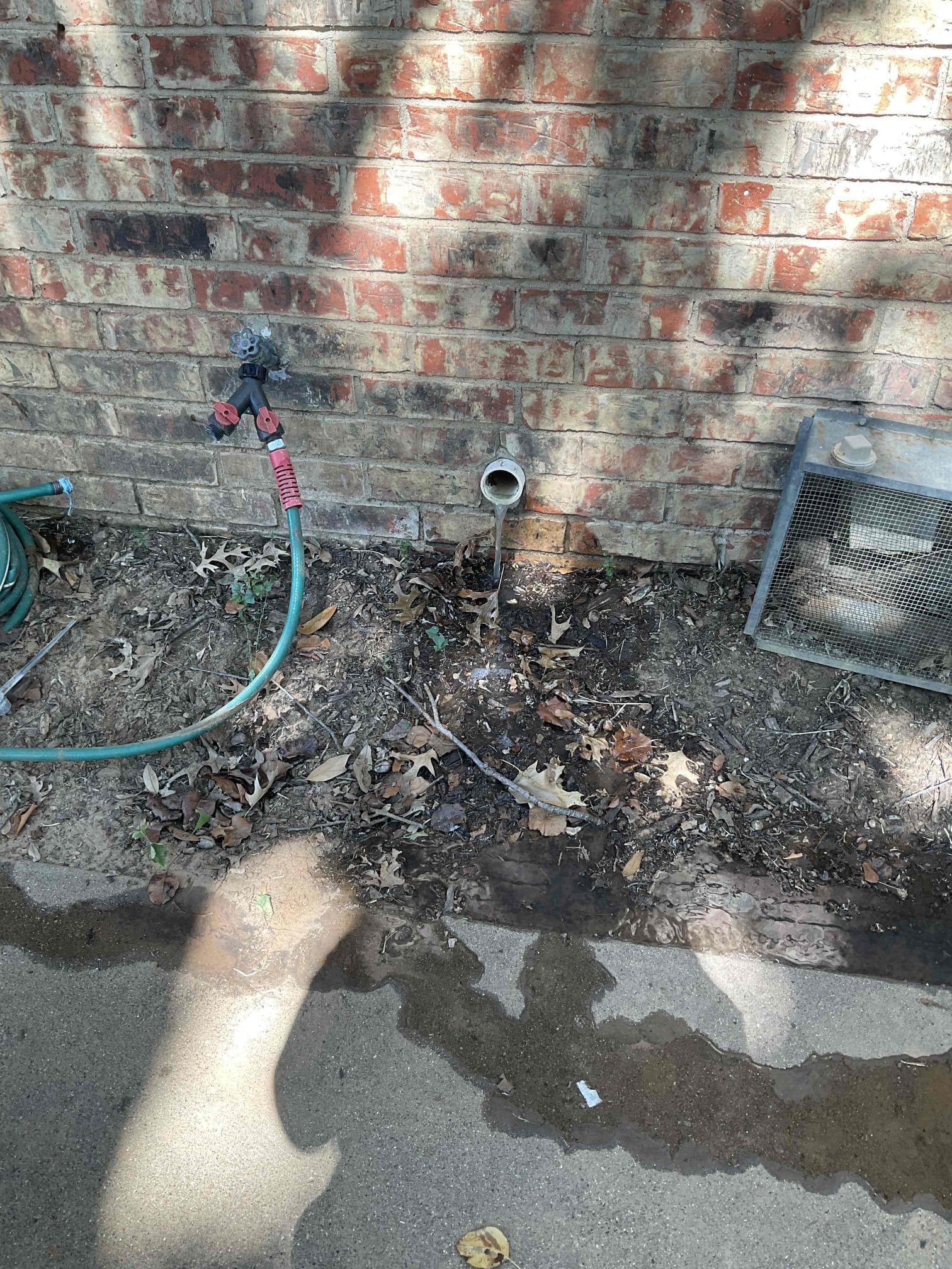 - Attempt to restore drainage for kitchen / laundry tie in.
 - price is for cable only if camera is needed price will be additional 

** if bigger issues are noted camera will be recommended **

- Successfully restored drainage on kitchen / laundry tie in.

- did explain there are no warranty on drain clears -

** customer is going to reach out to supervisor about camera inspection for line **