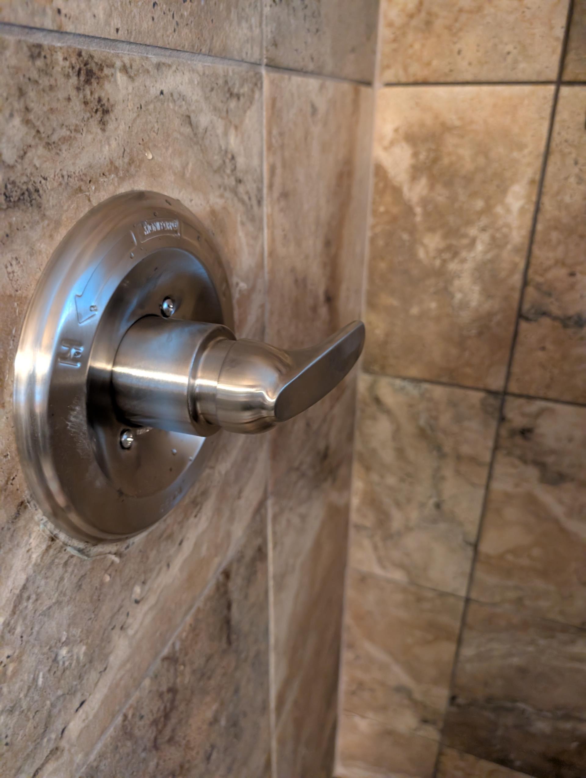-Replace upstairs master shower valve with new Delta valve. (company supplied.)
-install access panel behind shower for future ease of access. 

5 year warranty on work. 