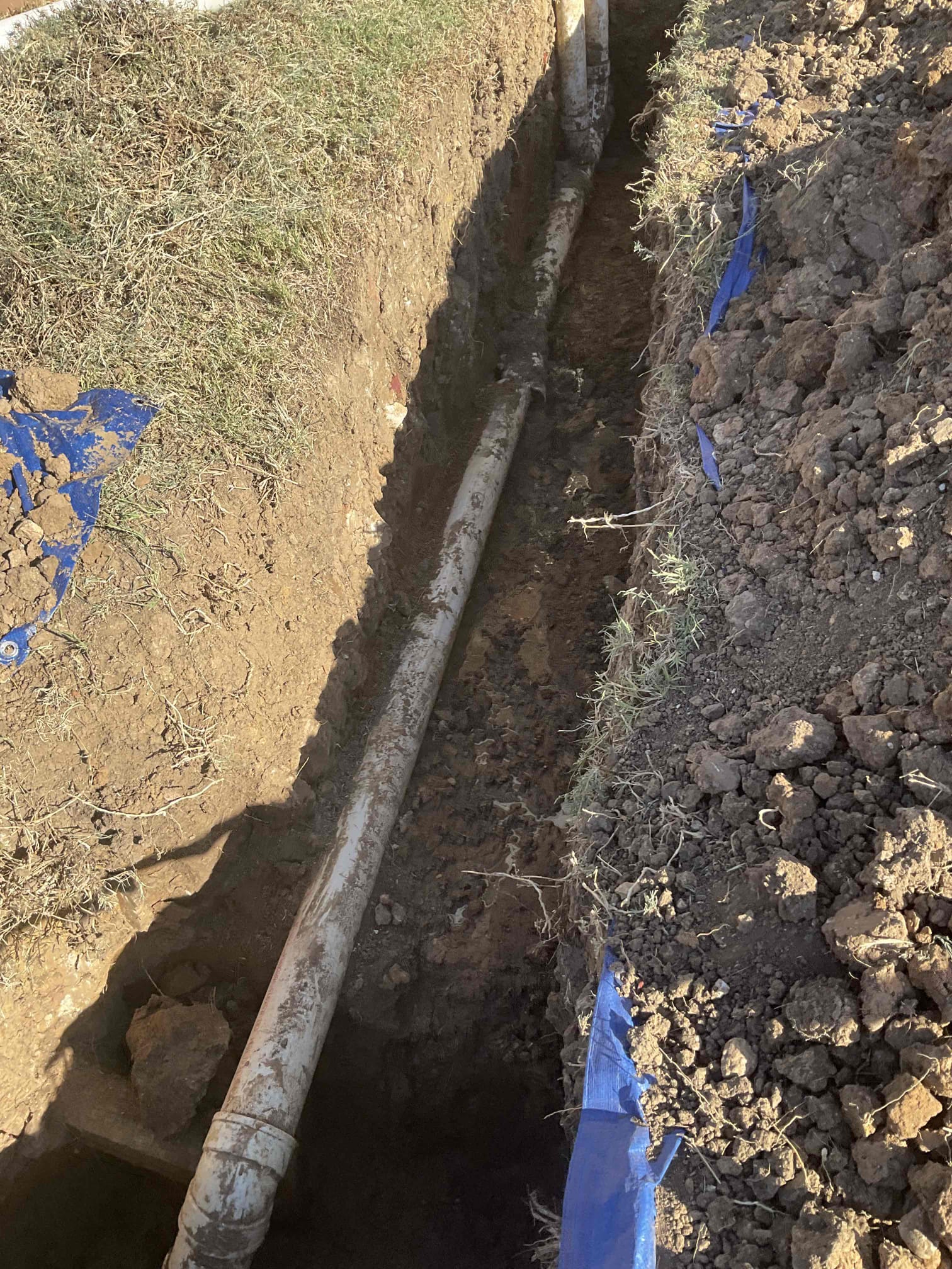 Trench and repipe sewer yard line in new schedule 40 pvc according to international plumbing standards 
Backfill and compact
Pull and reset toilet ( hall bath )
15 year parts and labor warranty 

Test all work no leaks office will schedule inspection