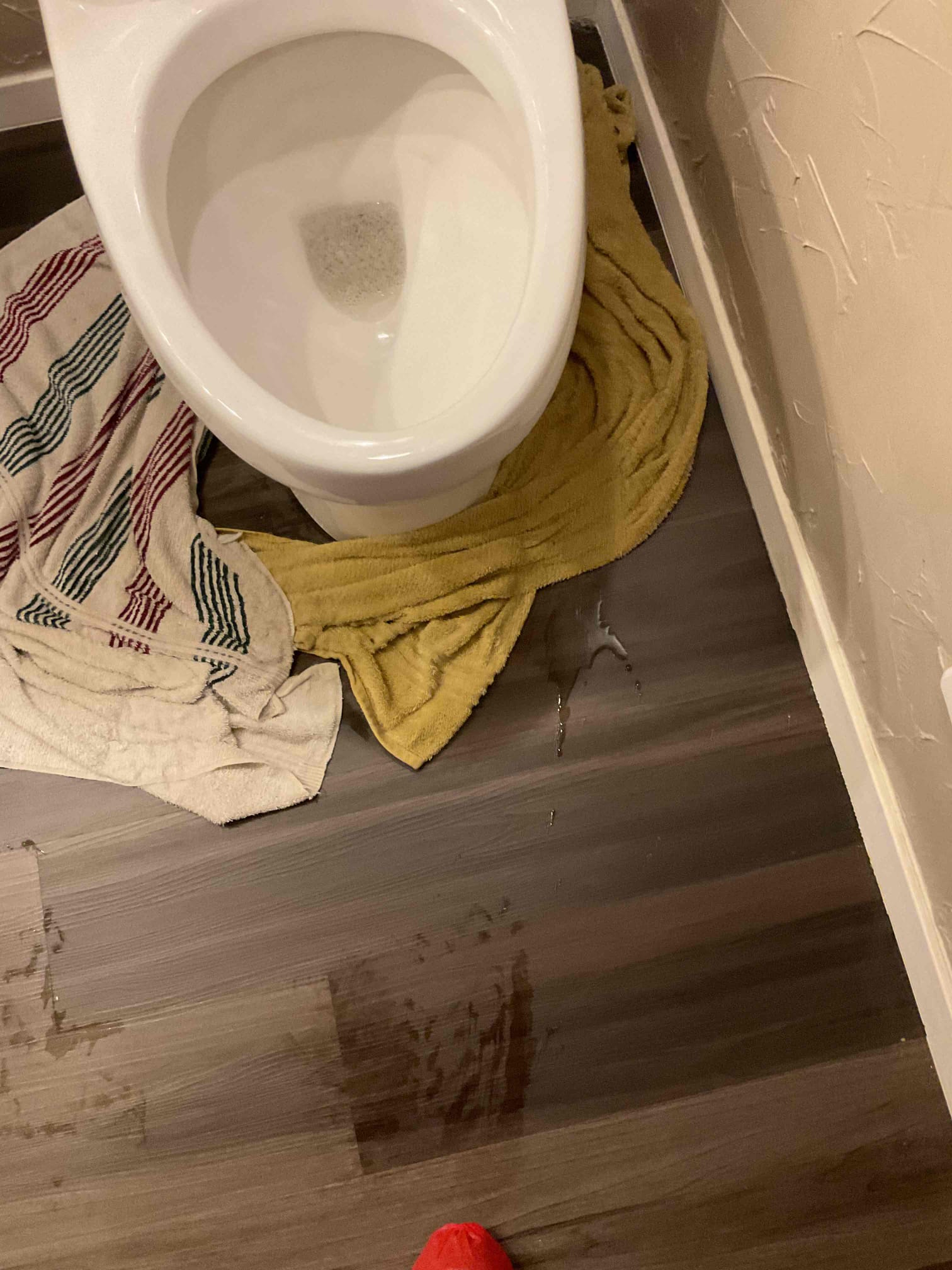 Restored flow to drain from cleanouts in backyard. Advised customer not to use bathroom until camera inspection is performed. Customer declined camera inspection at this time. Customer is planning to call around to price shop camera inspection fee. No warranty for drain clear 